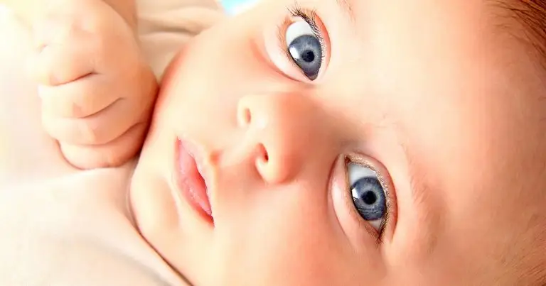 image of a baby